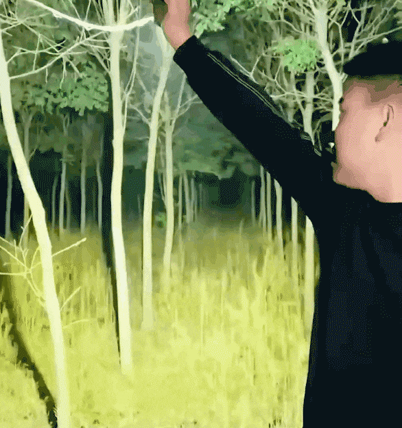 독일 미니 고휘도 손전등