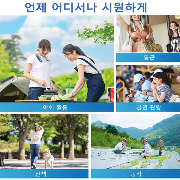 전문가급 파시아 건