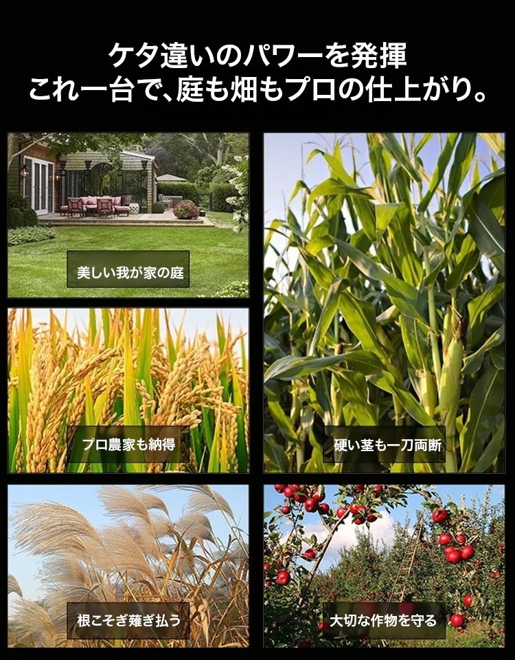 百年使っても壊れない、石を砕く車にも耐える【草刈りは火で焼くより徹底的】