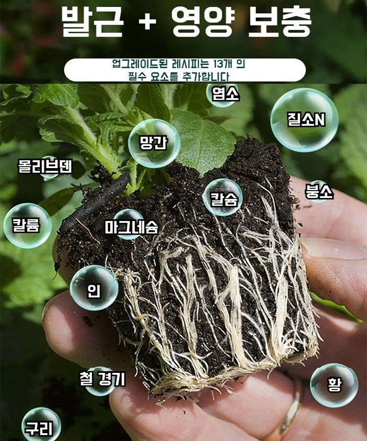 식물 재배 화초 삽목 루팅 파우더 