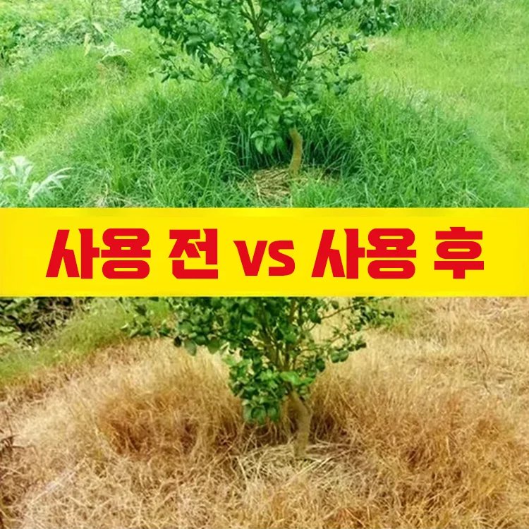 당일 결과를 확인하실 수 있습니다