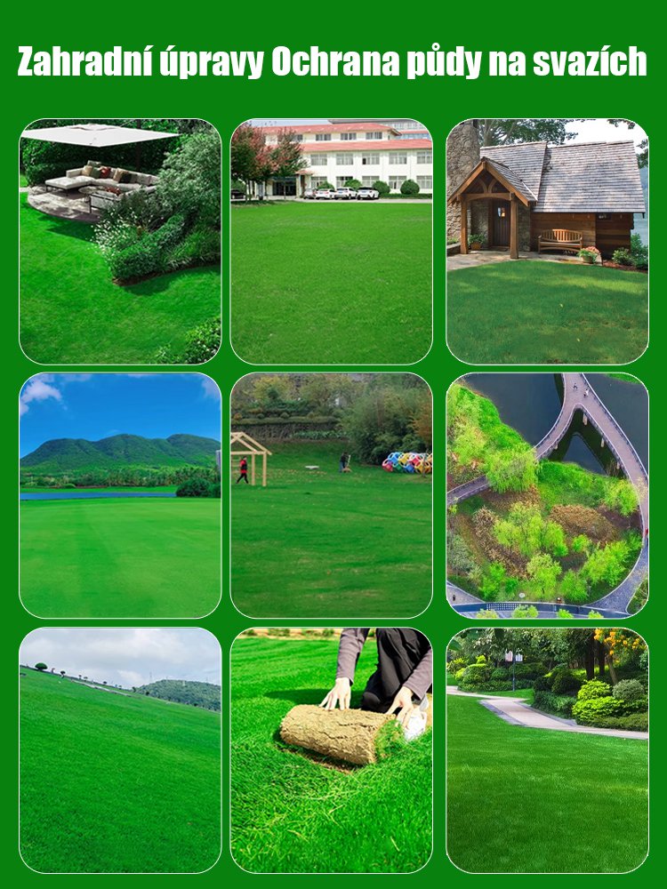 7denní klíčení travní semena