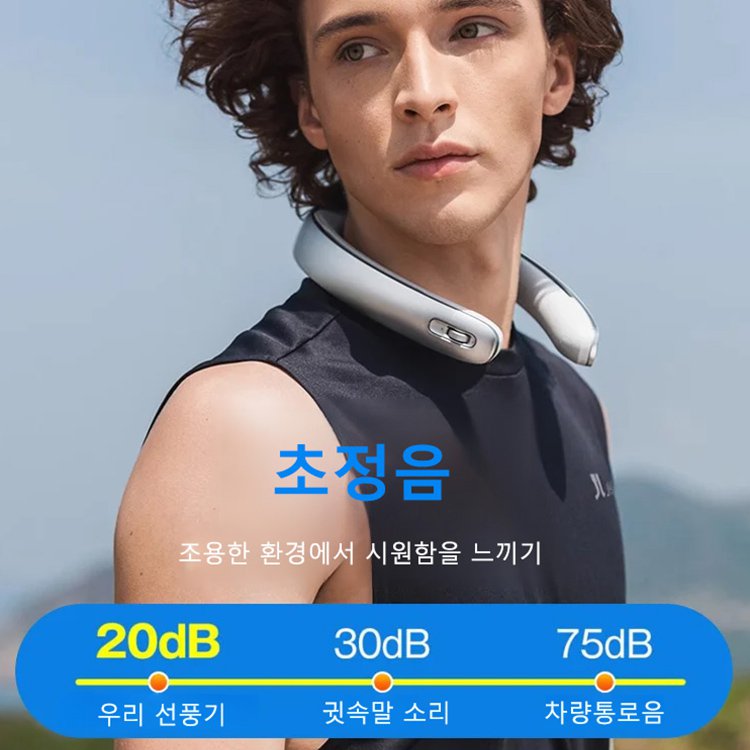 전문가급 파시아 건