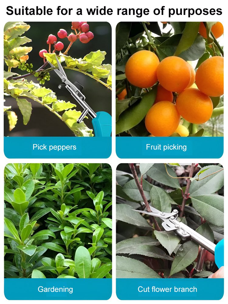Lightweight Effort-Saving Fruit Branch Pruner