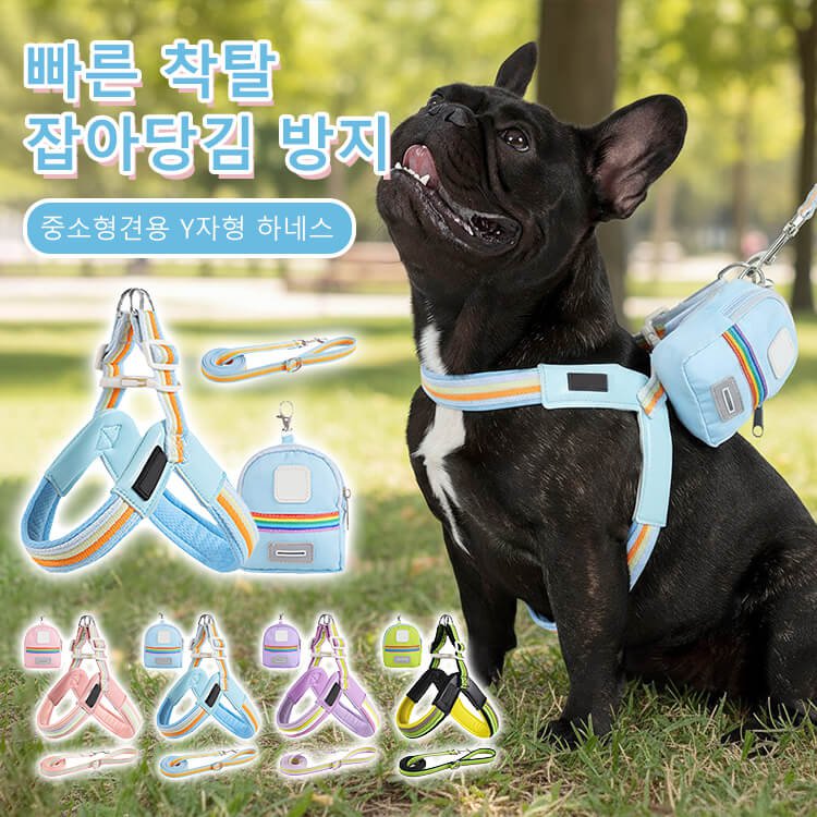 giipet-반려견 Y자형 하네스 세트
