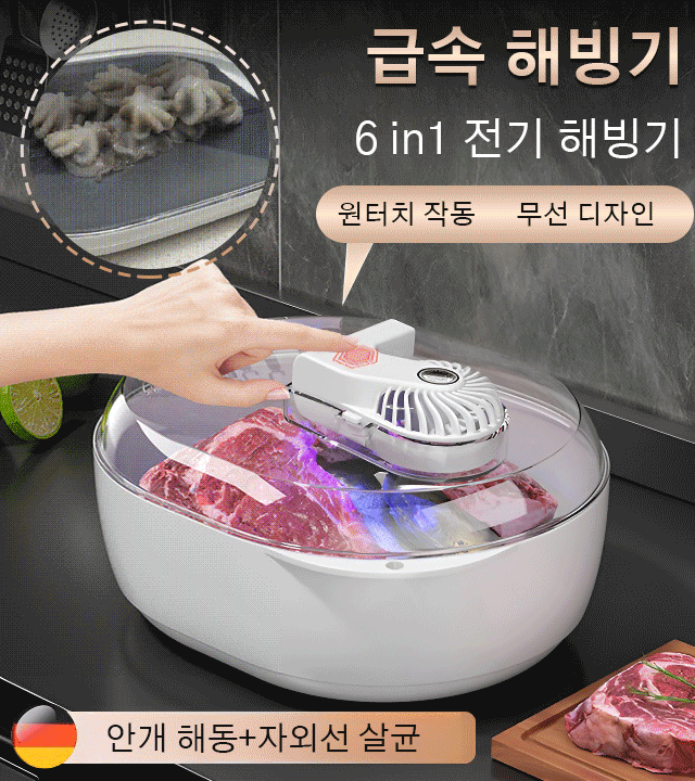 가정용 6 in 1 전기 해빙기