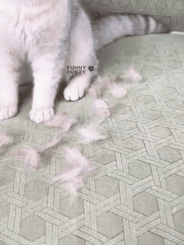 Chenille Jacquard Fabric Dustproof Waterproof Oilproof Sofa Cover