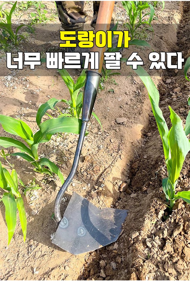 튼튼한 삼각 호미 날 부분 확대