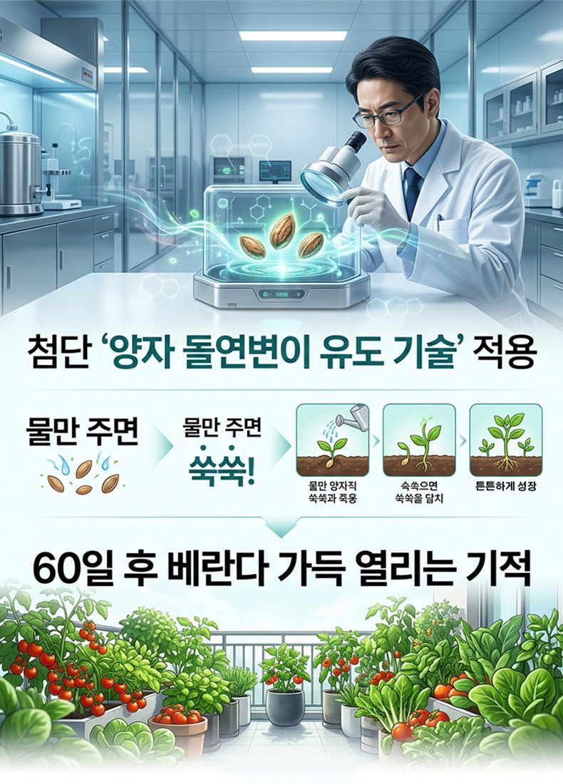 【천연 약재 창고】사계절 재배 가능한 발코니 화분 블루베리 씨앗