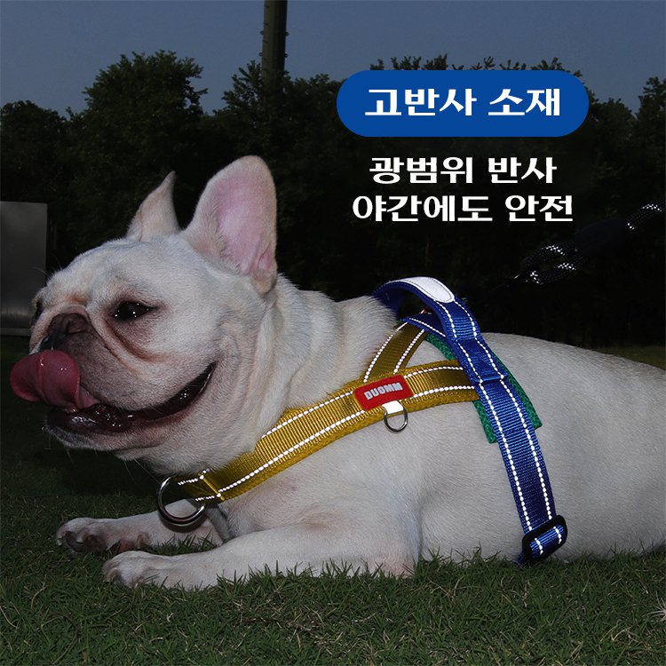 giipet-트리컬러 컬러 하네스