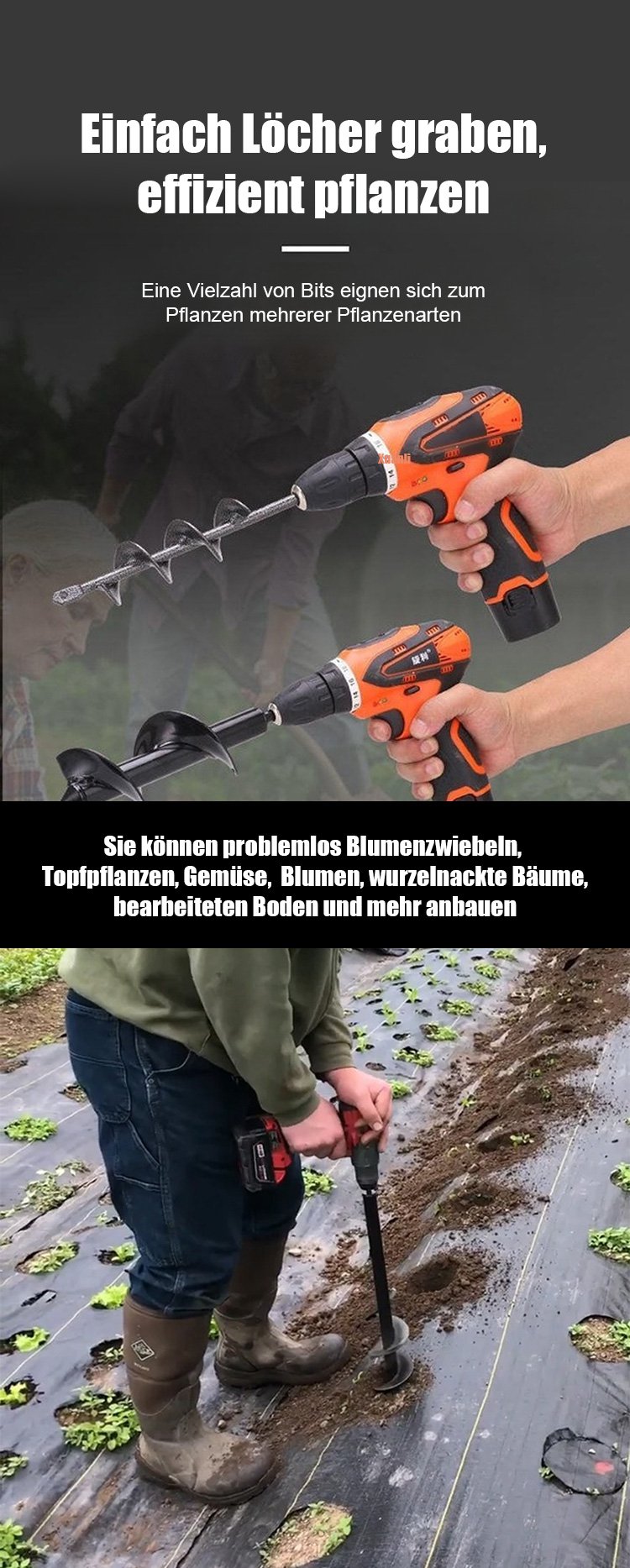 Detailaufnahme des robusten Schneckenbohrer-Kopfes