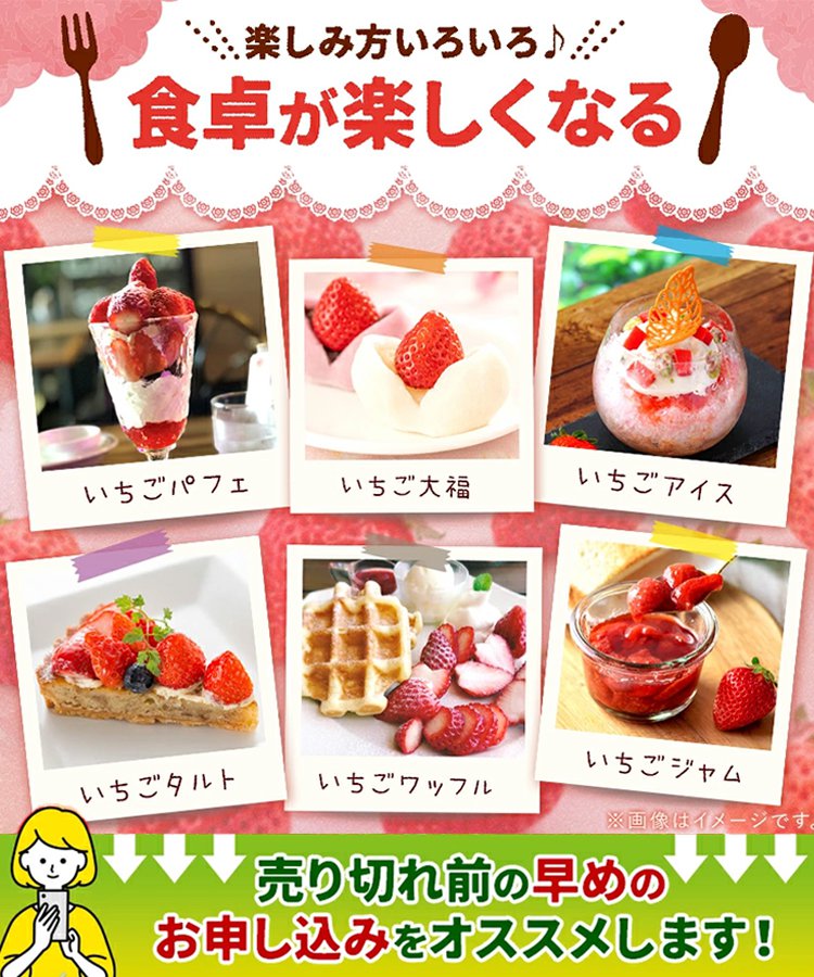 【甘酸っぱいドライストロベリー】限定1点1,495円