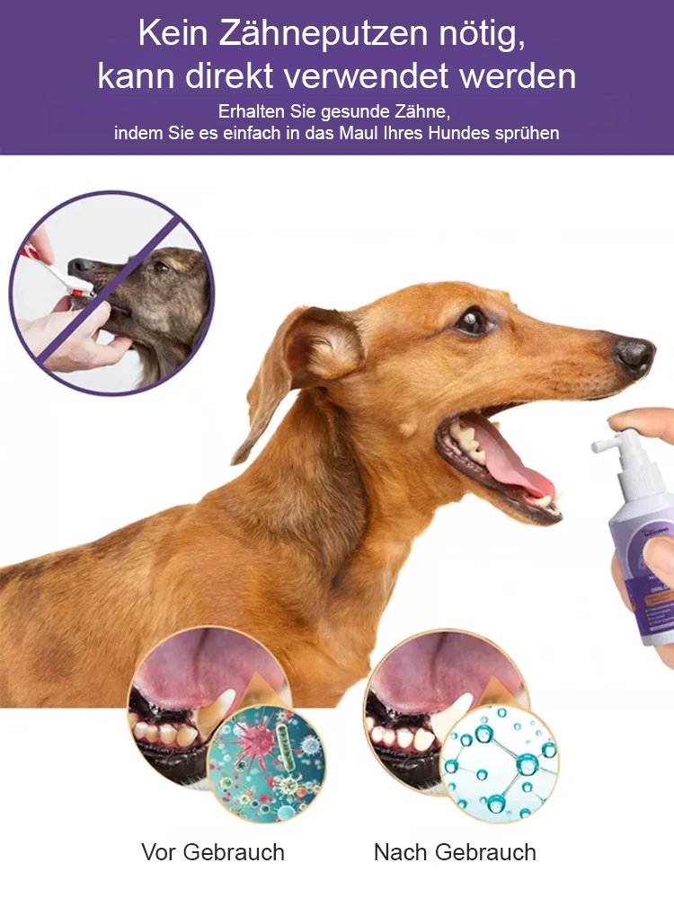 Zahnpflegespray für Hunde und Katzen