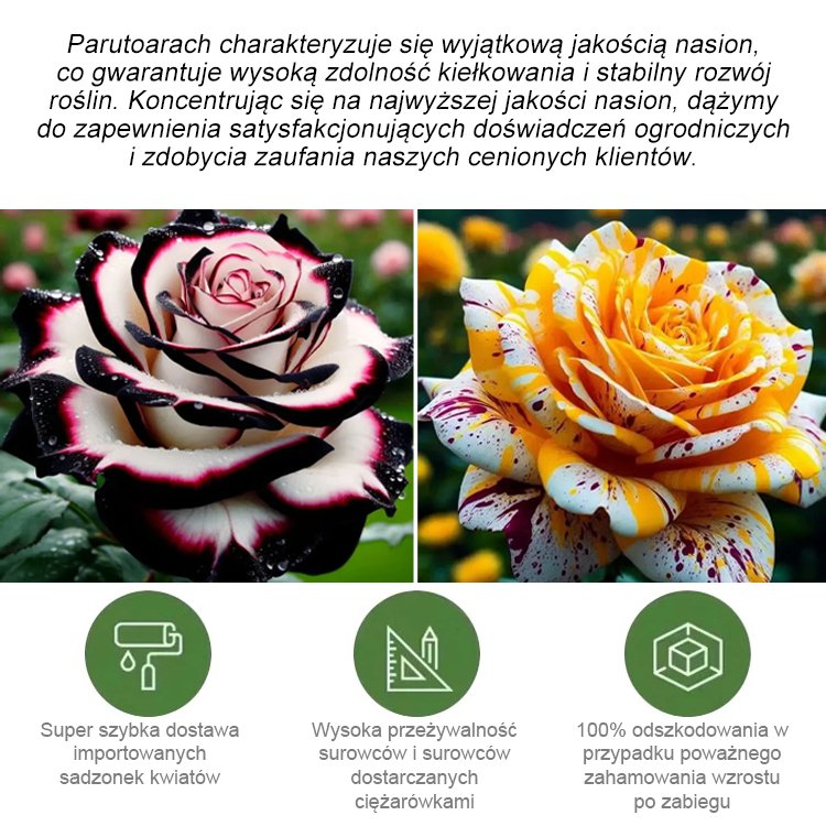 Nasiona róży wielogłowych