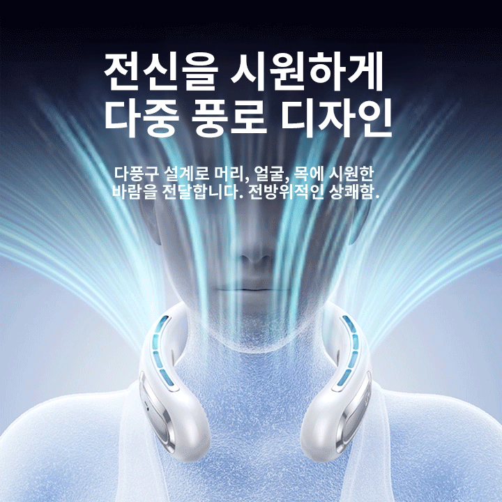 전문가급 파시아 건