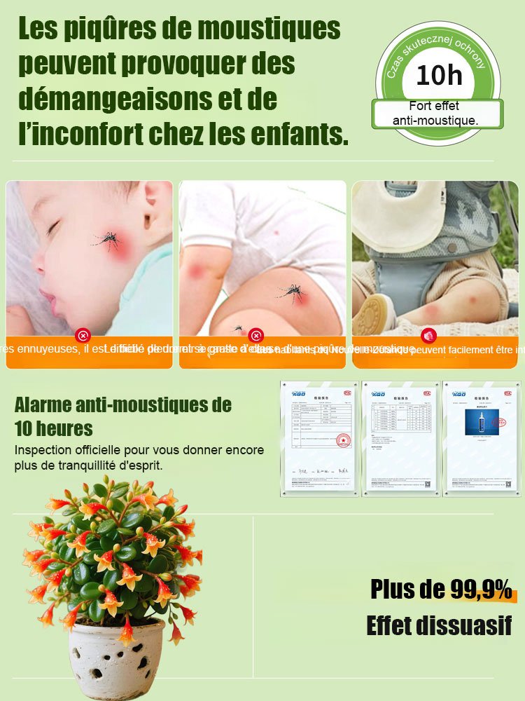【Répulsif pour insectes】Columnea facile à entretenir, résistant au froid et à la chaleur, absorbant 