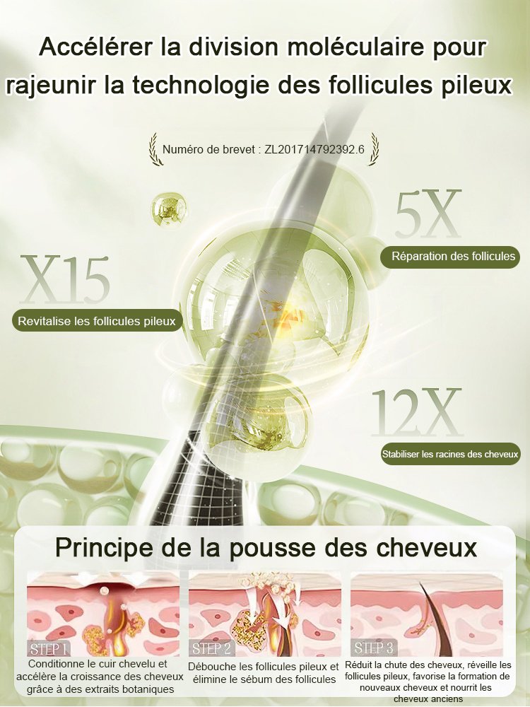 Hot Sale Ginger Plant Extract Anti-Hair Loss Hair Shampooing