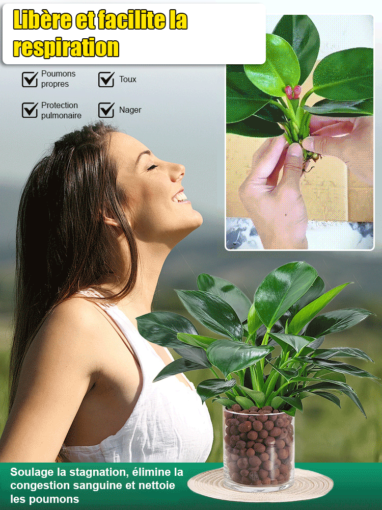 Passer commande en fonction du volume de commandes.