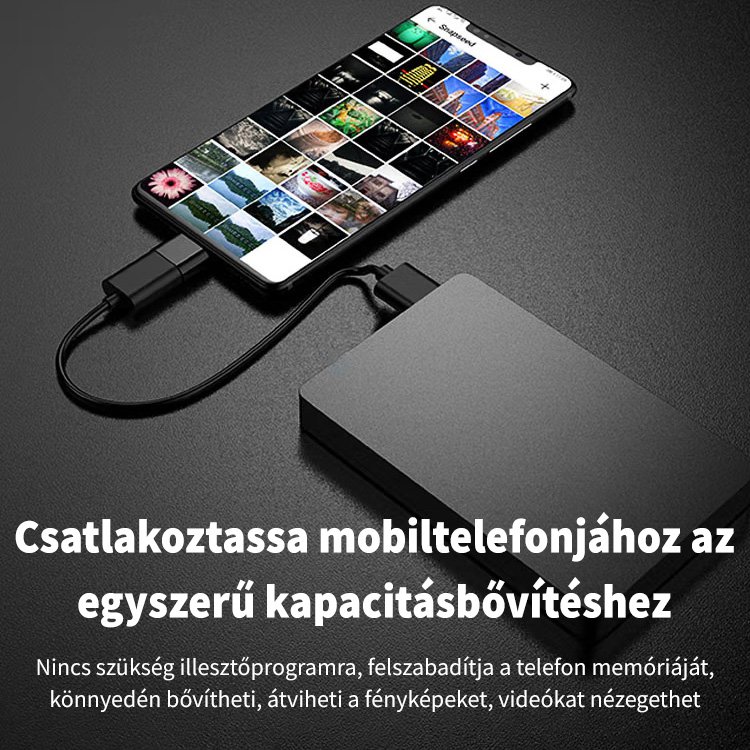 hordozható, gyorsan mozgatható merevlemez