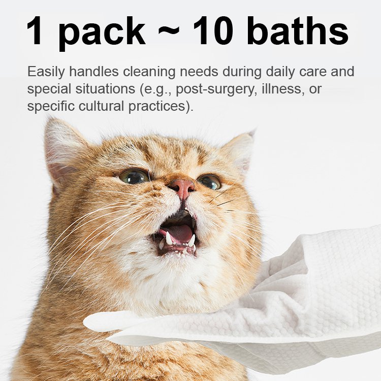 Pet Disposable Cleaning Gloves
