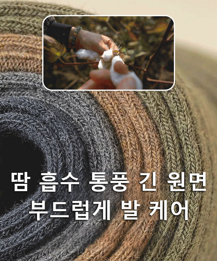 배색 비즈니스 중목 양말