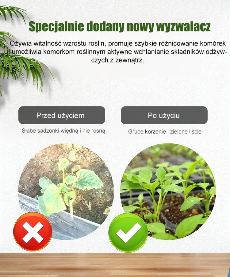 Energetyzator wzrostu roślin [skoncentrowana woda wróżki]