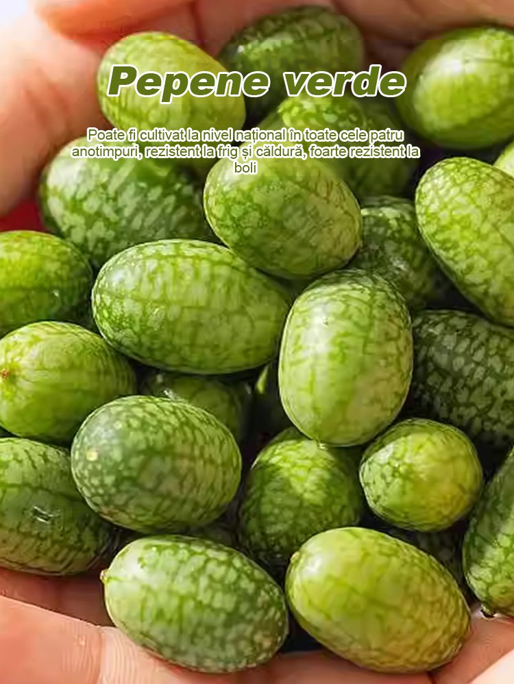 HFH-【Ușor de cultivat】 Pepene verde degetul mare