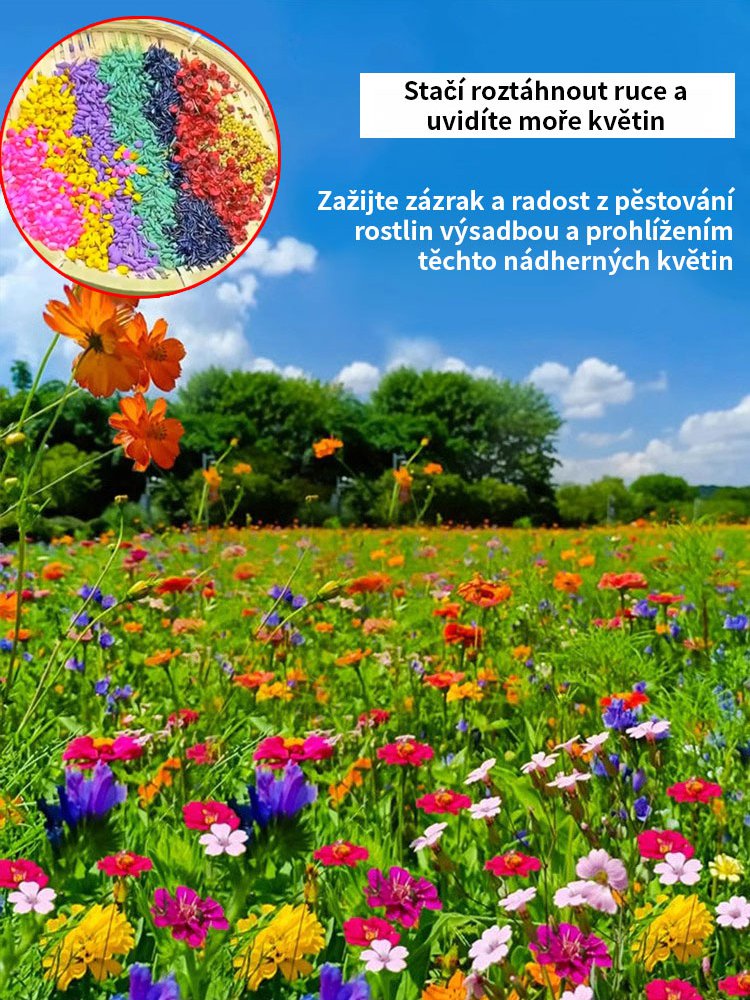 【Kvetení ve čtyřech ročních obdobích】Semena květinové mořské kombinace