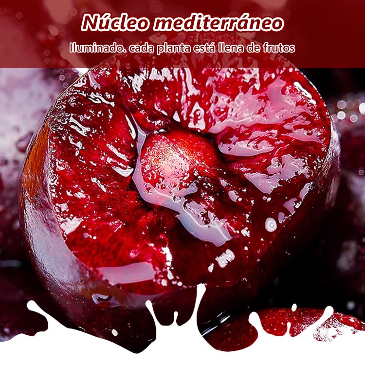 Semillas de Cereza de Chile