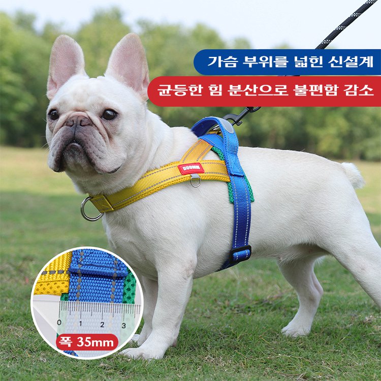 giipet-트리컬러 컬러 하네스