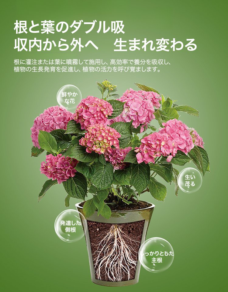 家庭園芸用液体植物栄養剤