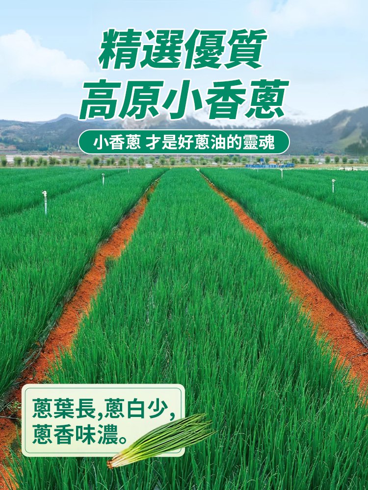 【2瓶裝】蔥油拌麵醬