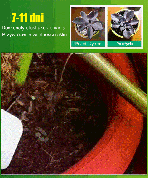 Energetyzator wzrostu roślin [skoncentrowana woda wróżki]