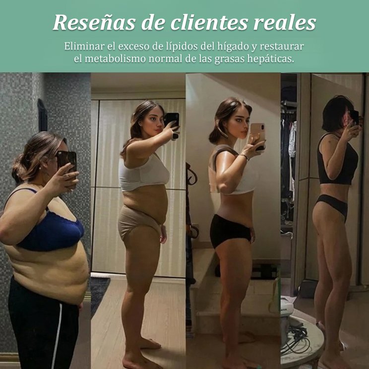 【Protección del hígado y reducción de lípidos】Tabletas de Pueraria y Ganoderma