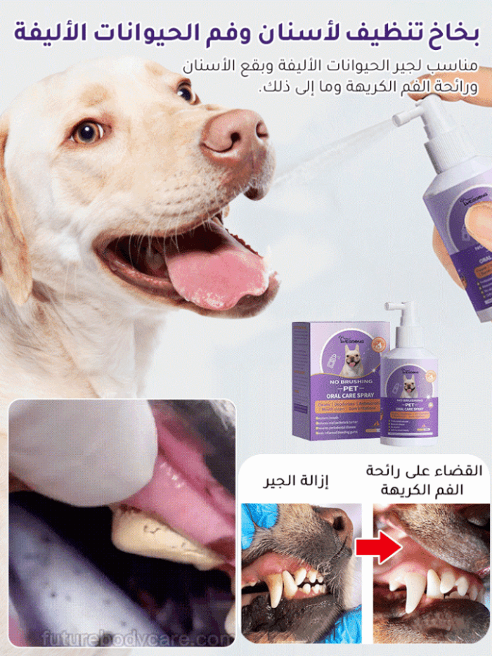 بخاخ تنظيف لأسنان وفم الحيوانات الأليفة[القضاء على جير الأسنان في 7 أيام]