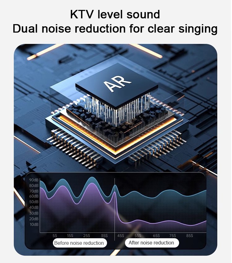 Portable Wireless Karaoke Speaker with Mic