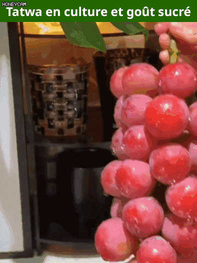 Raisins Queen Nina à l'arôme naturel du vin