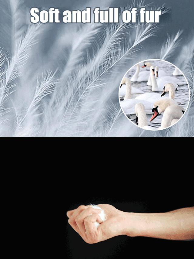 Diamond-patterned fashionable lightweight down jacket