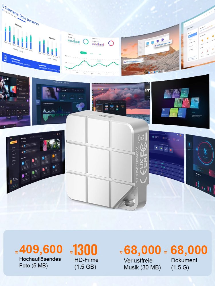 【1-Sekunden-Übertragung】Tragbare Hochgeschwindigkeits-SSD