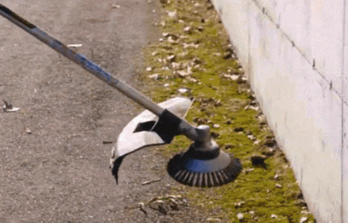6.gif