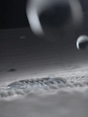 01 (2).gif