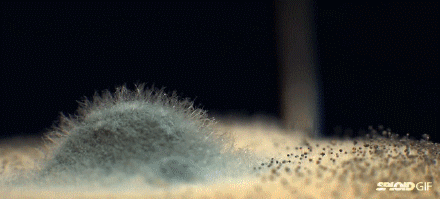 1592452599813462.gif