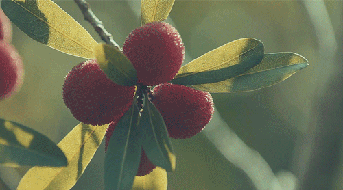 5ef164d492699 (1).gif