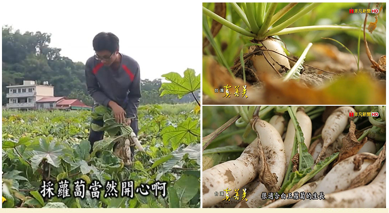 xiangq_08.jpg
