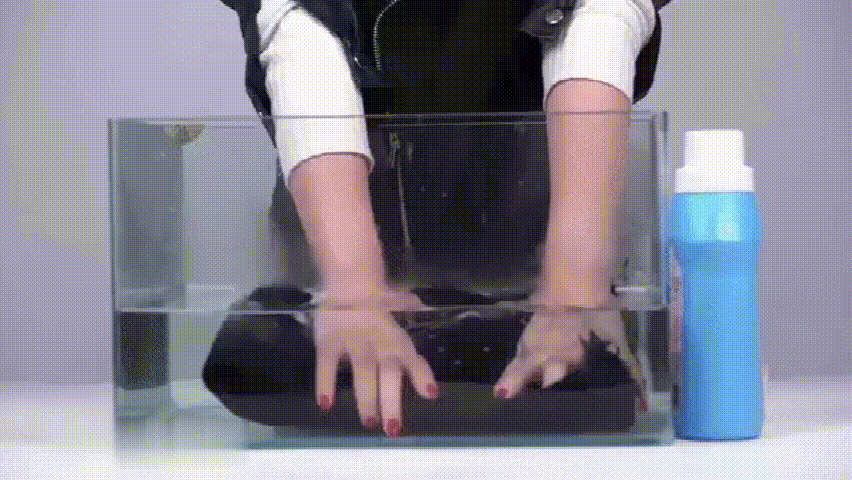 20190930156982759989316.gif