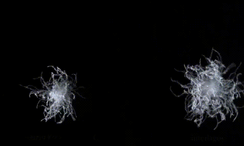 1600756702309964.gif