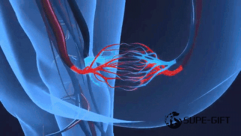 1607751461845232.gif