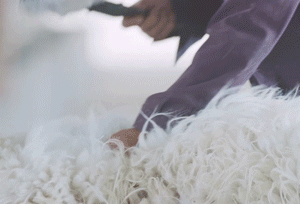 1599012635890023.gif