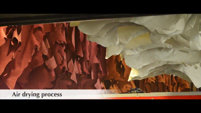 The Tanning and Finishing Process of Leather 00_13_43-00_13_48.gif