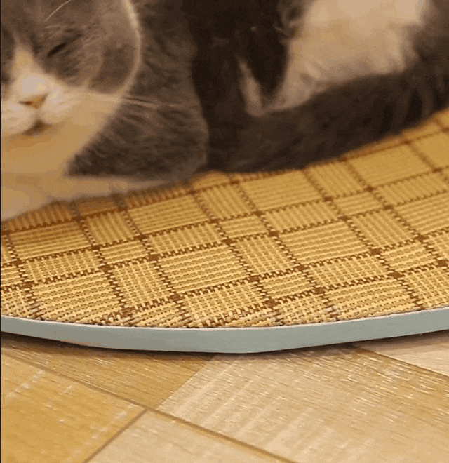 g2.gif